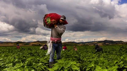 Bursa Yenişehir'de tarımı geliştiren, sanayi ve ticareti büyüten anlayış hakim
