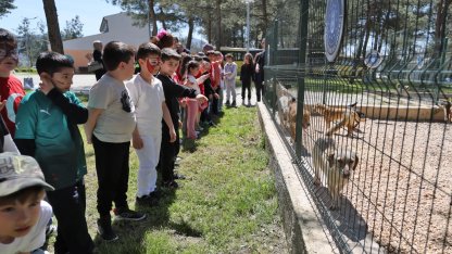 Bursa'da çocuklar patili dostlarla buluştu