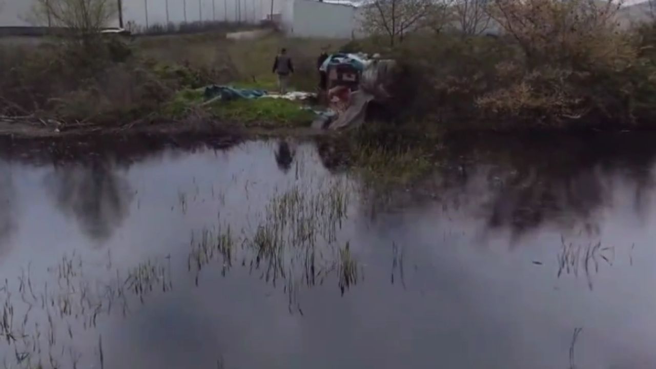 Bursa'da sulak alanlarda gümeler imha edildi