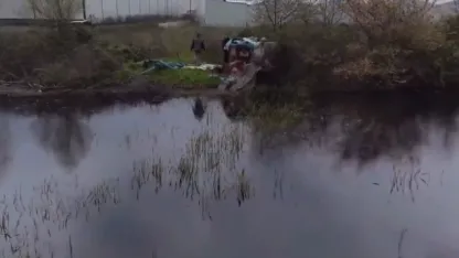 Bursa'da sulak alanlarda gümeler imha edildi