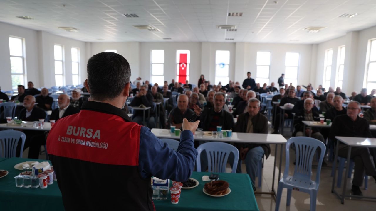 Bursa’da zeytinde yeni dönem... B-Reçete geliyor