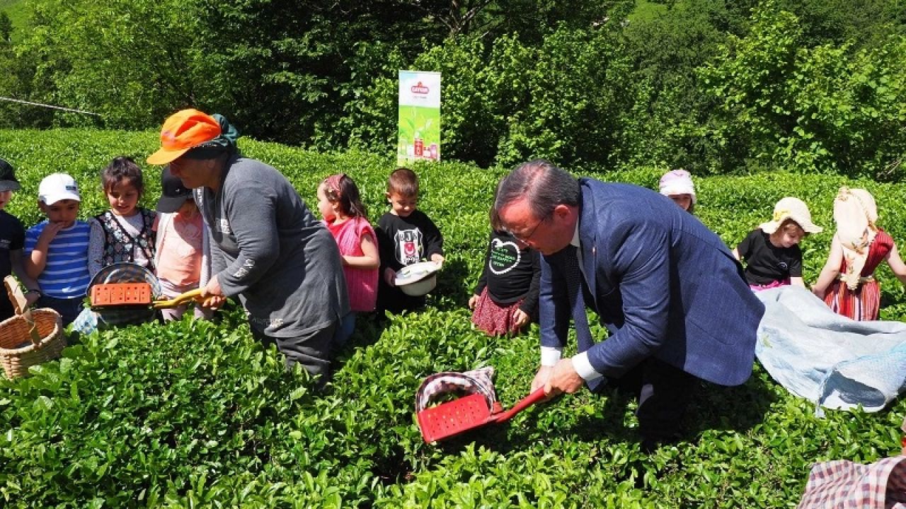 Çay İşletmeleri'ne personel atamalarında 40 yaş şartı aranmayacak