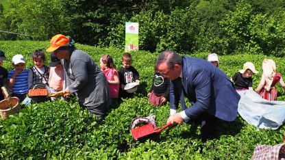 Çay İşletmeleri'ne personel atamalarında 40 yaş şartı aranmayacak