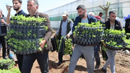 Çiftçiye 1 milyon fide desteği