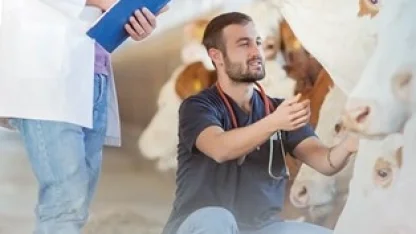 Denizli Büyükşehir’den üreticiye sahada destek