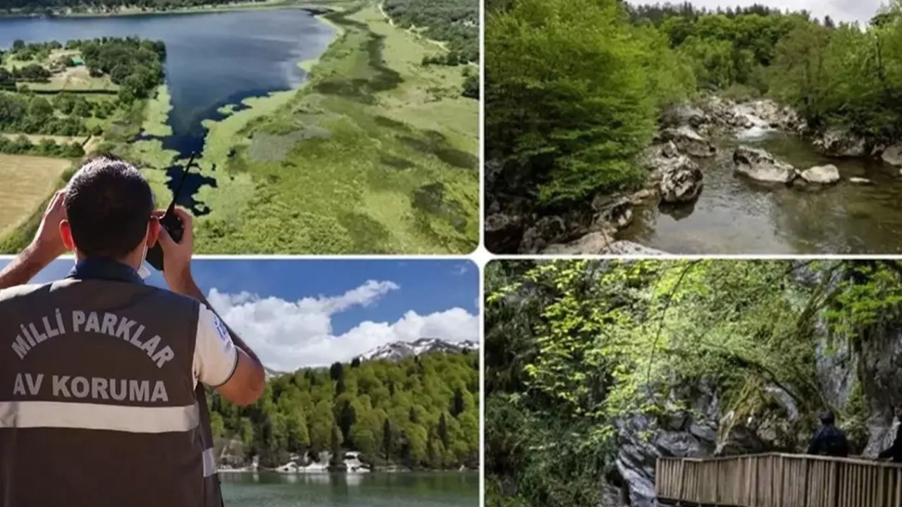 Doğa Koruma ve Milli Parklar Uzmanlığı için 'tez' zorunluluğu