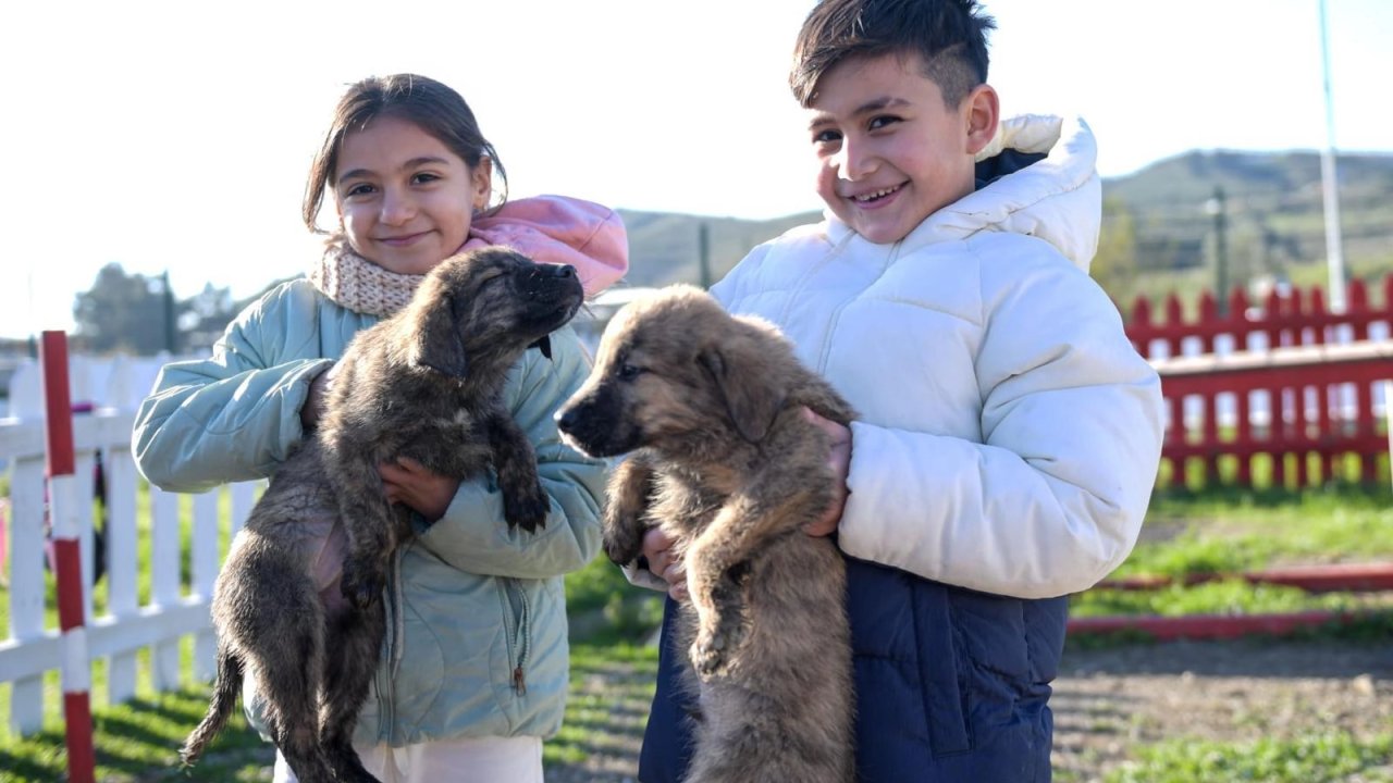 Doğa ve patili dostlar İzmir'de şifa dağıtıyor