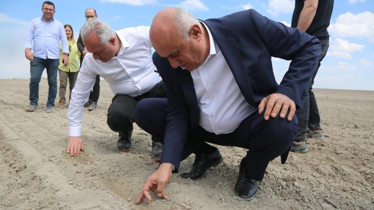 Erkoyuncu pancar ekimine start verdi