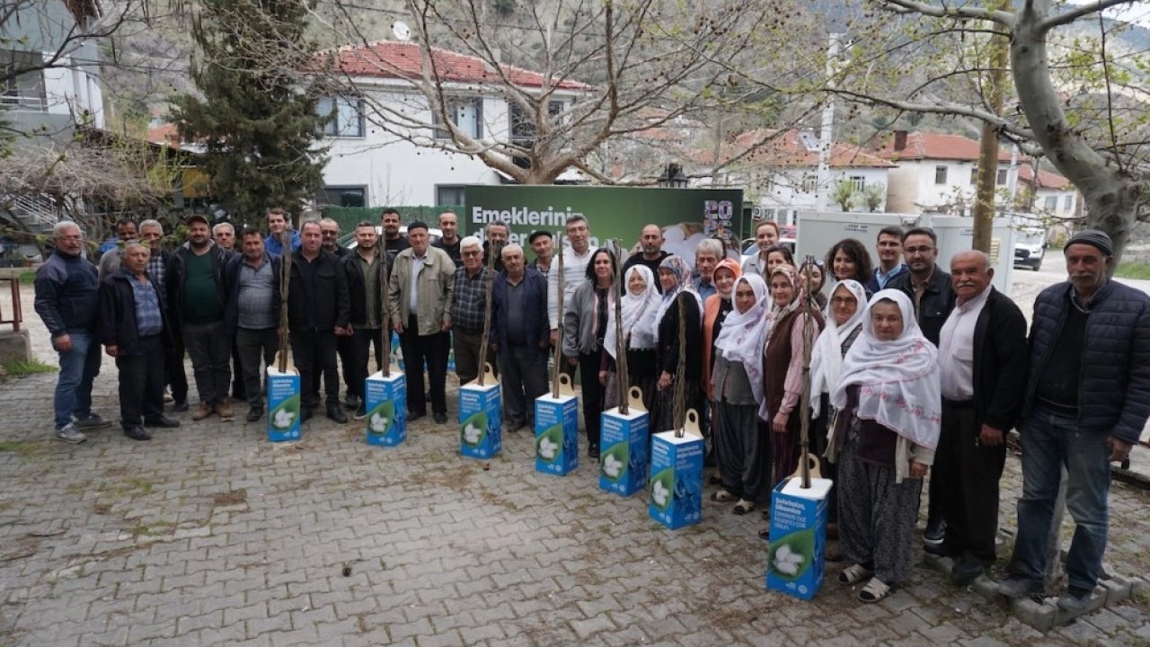 Eskişehir'de 600 dut fidanı üreticiyle buluştu