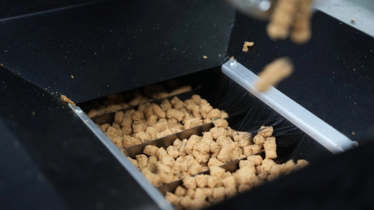 Eskişehir'de atık yemekler mama oluyor