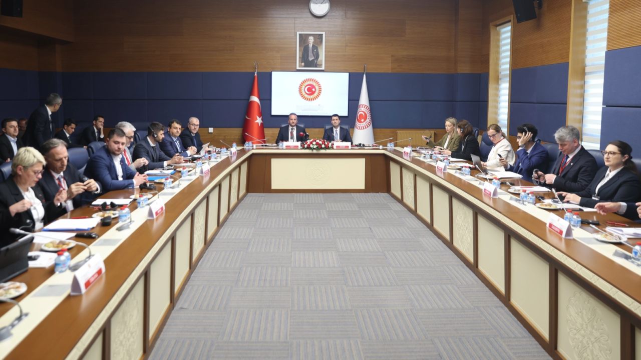 GDAÜPA temsilcileri TBMM'de buluştu