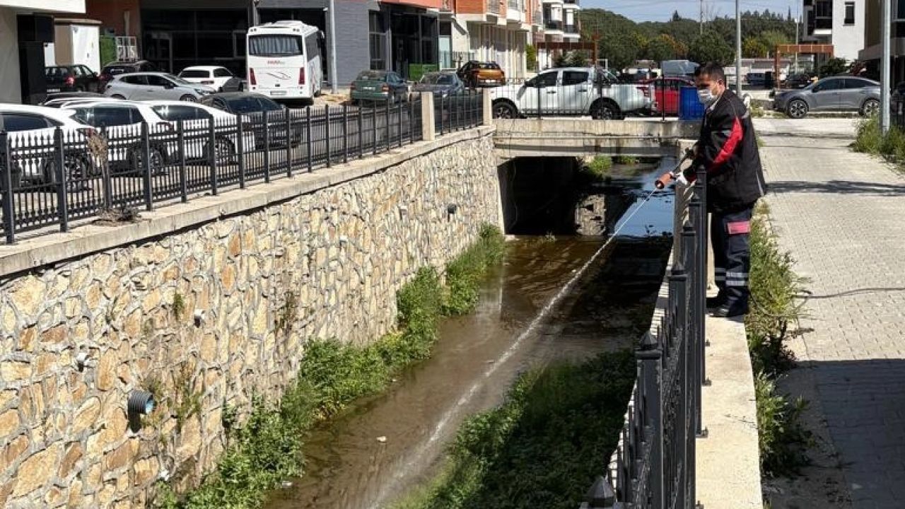 Haşereye karşı larvasit çözüm