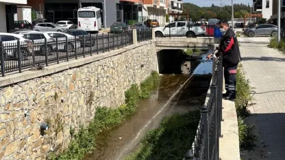Haşereye karşı larvasit çözüm