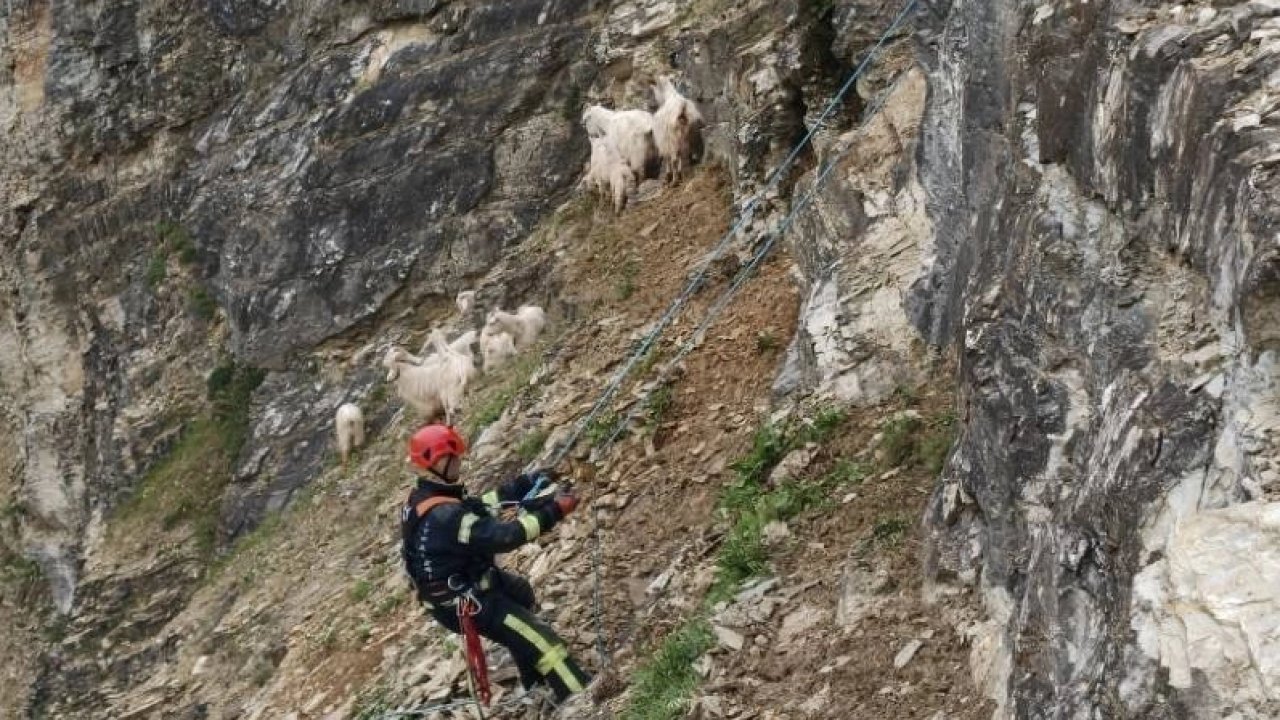 Her can Kocaeli İtfaiyesi’ne emanet