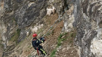 Her can Kocaeli İtfaiyesi’ne emanet