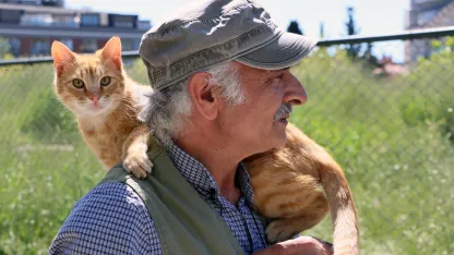 İstanbul Maltepe’de “can dostlar” güvende