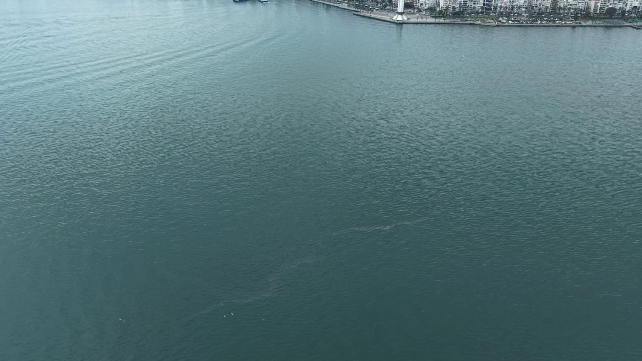 İzmir Körfezi’nde dış kaynaklı kirliliğin önüne geçilemiyor