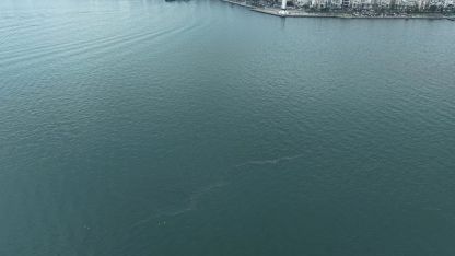 İzmir Körfezi’nde dış kaynaklı kirliliğin önüne geçilemiyor