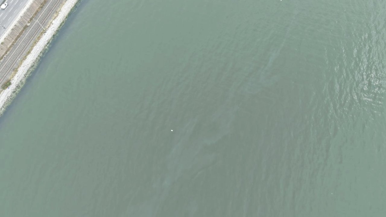 İzmir Körfezi’nde kirlilik endişelendiriyor! Aynı tehdit 11. kez görüldü