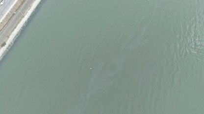 İzmir Körfezi’nde kirlilik endişelendiriyor! Aynı tehdit 11. kez görüldü