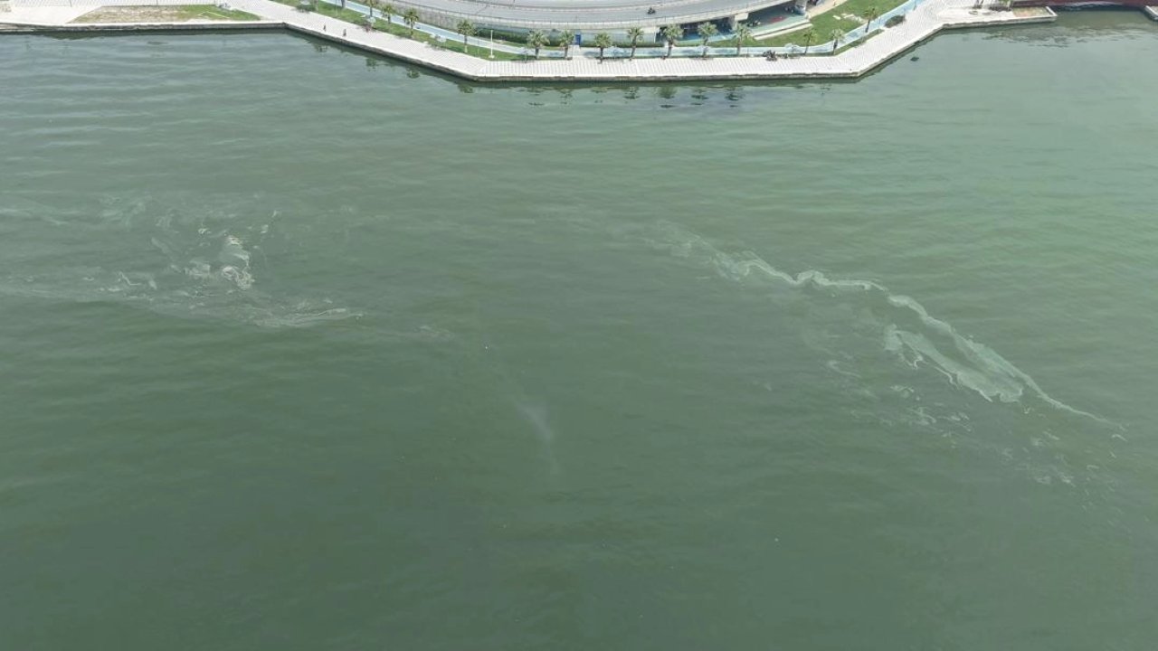 İzmir Körfezi’nde kirlilikte 10'uncu tespit