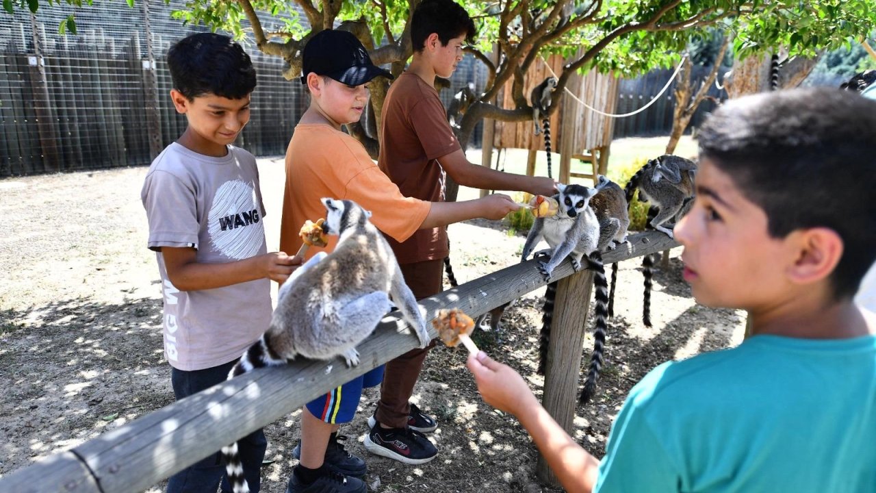 İzmir'de Doğal Yaşam Parkı öğrencilere ücretsiz olacak