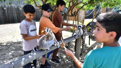 İzmir'de Doğal Yaşam Parkı öğrencilere ücretsiz olacak