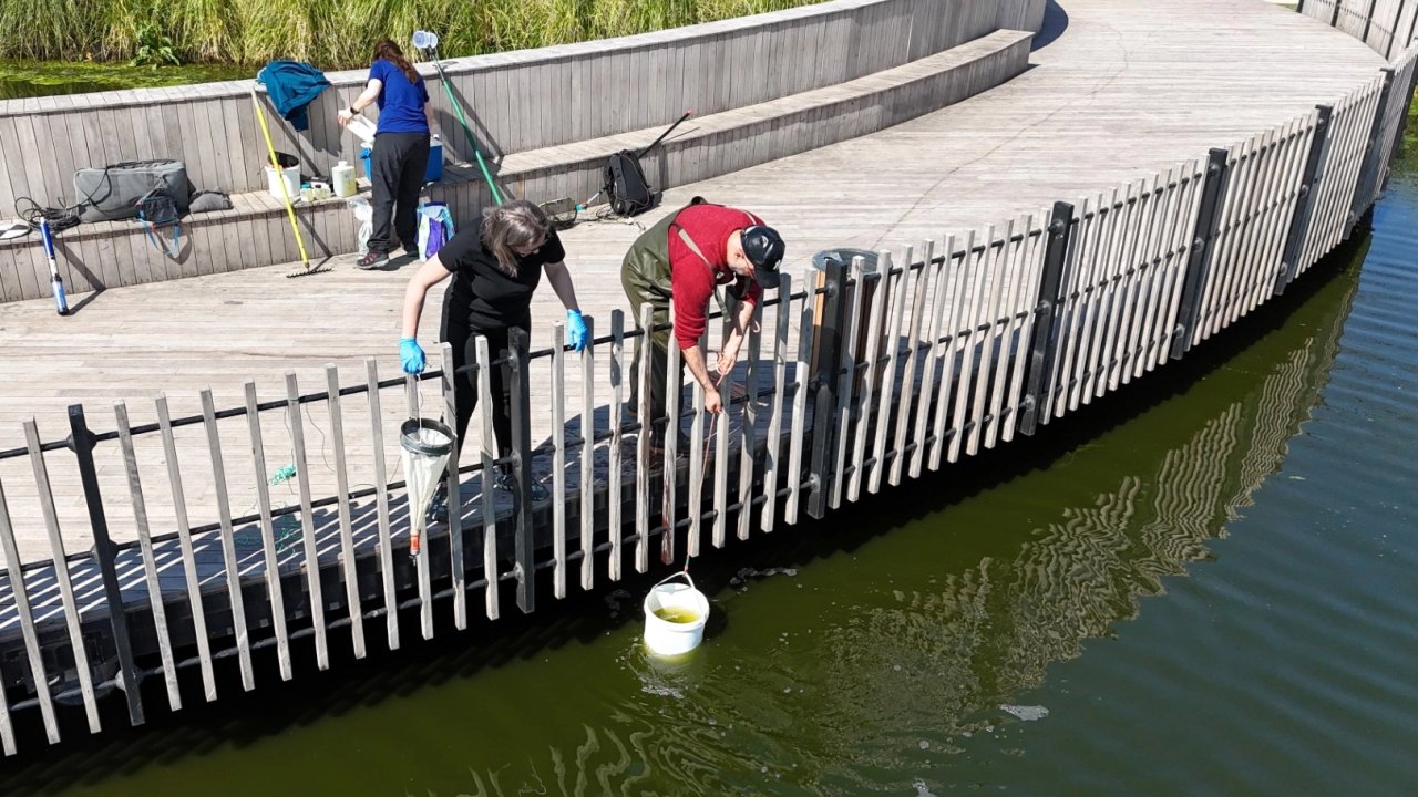 İzmit Millet Bahçesi’nde su göletine bilimsel çalışma