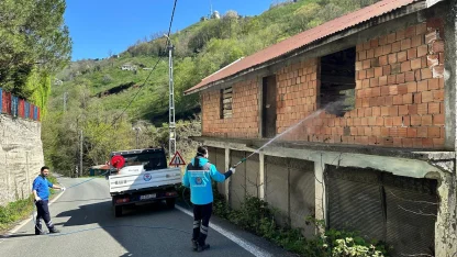 Kahverengi kokarcaya karşı Trabzon’da seferberlik