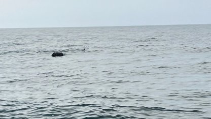 Karadeniz’deki şüpheli mayın SAS timlerince imha edildi!