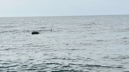 Karadeniz’deki şüpheli mayın SAS timlerince imha edildi!