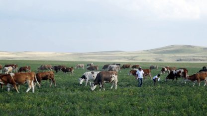 Kars Ani'de meralar yasaklandı mı? Açıklama geldi