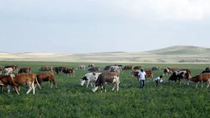 Kars Ani'de meralar yasaklandı mı? Açıklama geldi