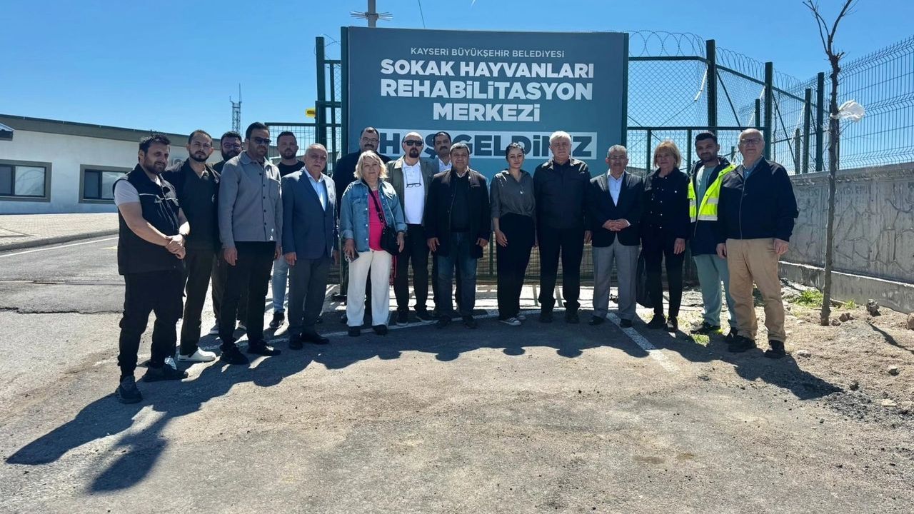 Kayseri Büyükşehir'den can dostlar için örnek hizmet