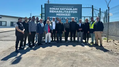 Kayseri Büyükşehir'den can dostlar için örnek hizmet