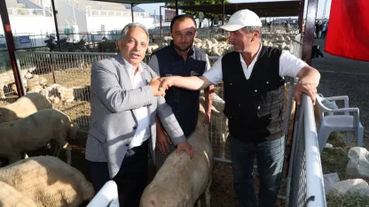 Kayseri Talas'ta kurban satış yeri belirlendi