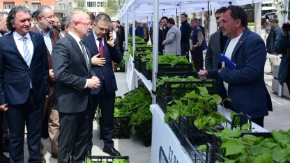 Kestel’de çiftçiye Ahududu desteği