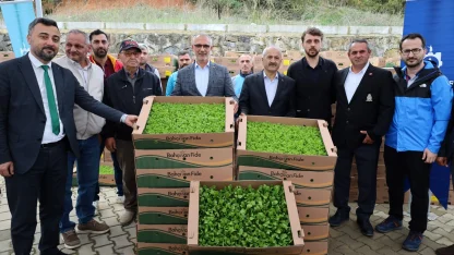 Kocaeli’de çiftçilere sebze fidesi desteği