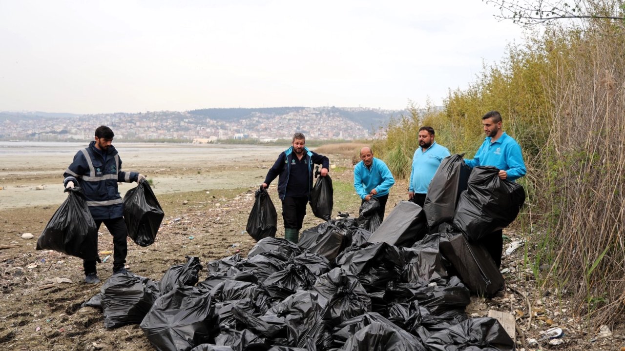 Kocaeli'de ekipler 50 torba atığı doğadan uzaklaştırdı