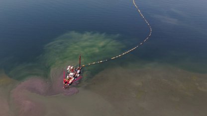 Kocaeli’nin çevre projesi deniz canlılarını canlandırdı
