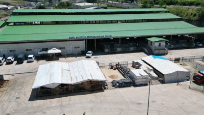 Kurban Bayramı öncesi İzmit’te alanlar tahsis ediliyor