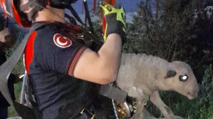 Kuyuya düşen kuzuya İzmir İtfaiyesi'nden nefes kesen kurtarma