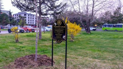 Masumiyet çınarları, kaybedilen canların hatırasını yaşatacak