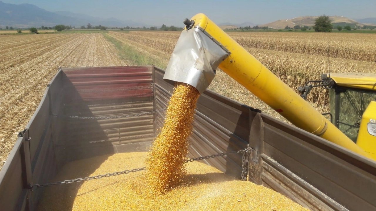 Mısır ithalatına 3 milyon tonluk tarife kontenjanı