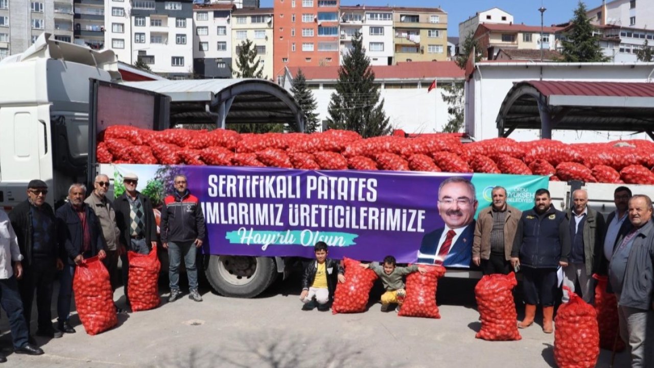 Ordu’da 6 ilçede 45 ton tohumluk patates dağıttı