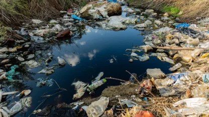 Prof. Dr. Ünüsan'dan mikroplastik uyarısı: Bitki bazlı çözümler umut veriyor ancak...