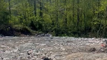 Rize’de vahşi depolamaya milyonluk ceza! Çevre'den suç duyurusu