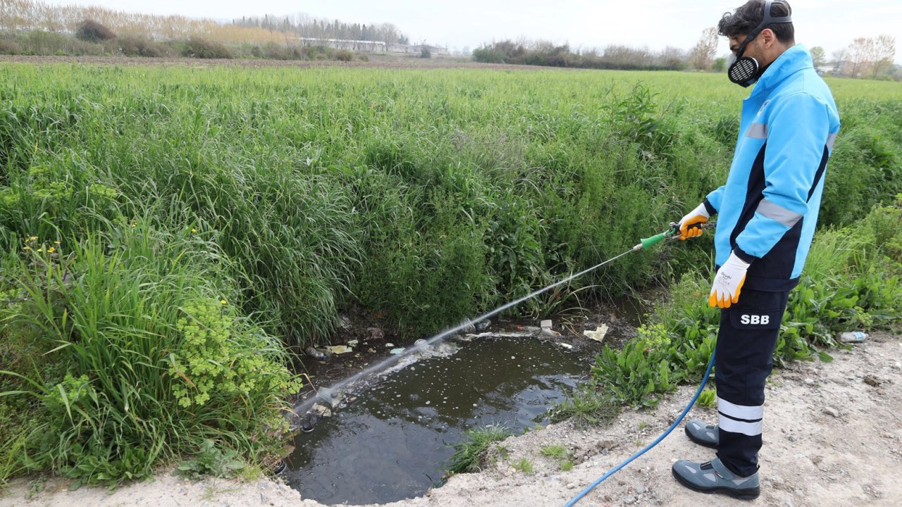 Sakarya ekipler zararlı vektörle mücadeleyi sürdürüyor