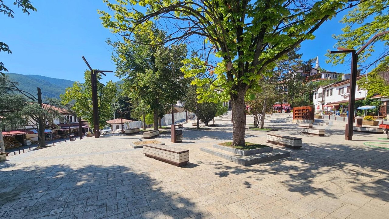 Sakarya Taraklı’da tarihi çınar yeniden hayat buluyor