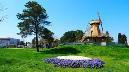 Sakarya’da baharın büyüleyici cümbüşü